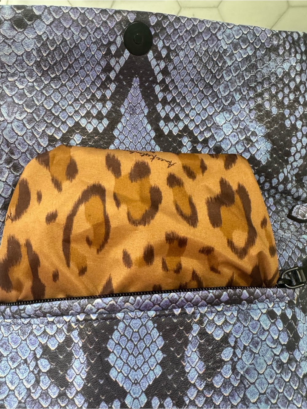 Aimee Kesterberg, NWOT clutch/shoulder bag - Picture 4 of 12